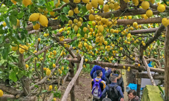 Sentiero dei limoni